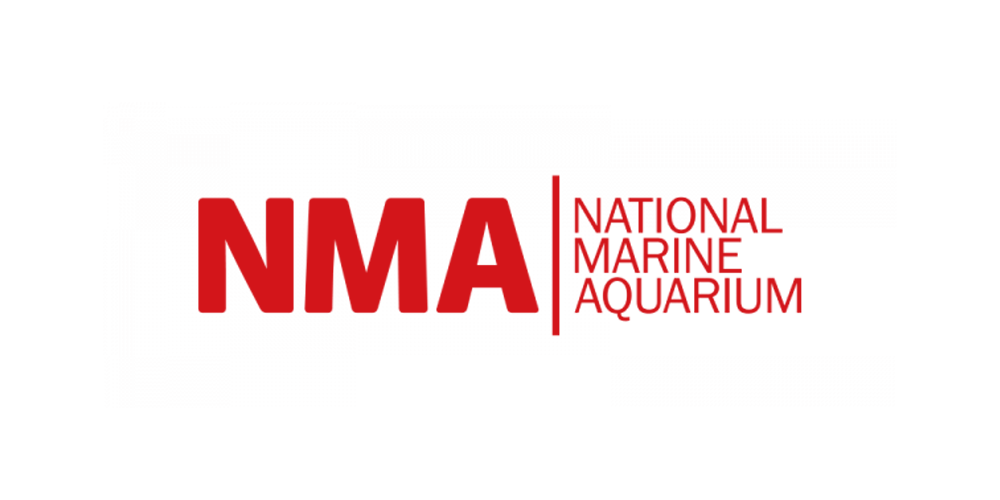 National Marine Aquarium